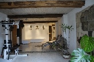 006-205-gut-trattenhof-pension-ferienwohnungen-urlaub-kinder-steiermark
