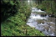 004-205-wanderurlaub-steiermark-wandern-ferienwohnungen-oesterreich