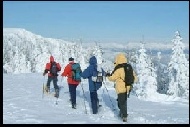 010-205-winterurlaub-skifahren-steiermark-skiurlaub-pension-hotel